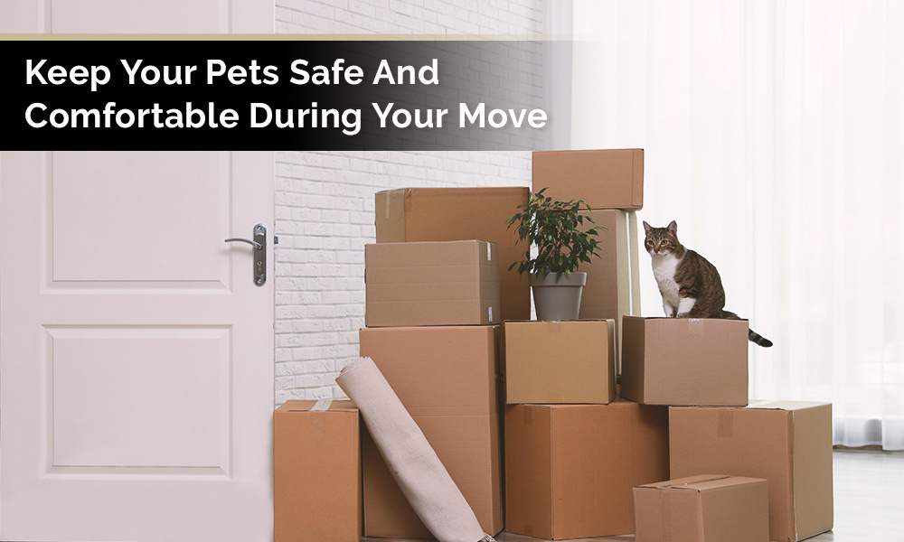 Sophie Goudreau September blog image How to keep your pets safe and comfortable when youre moving