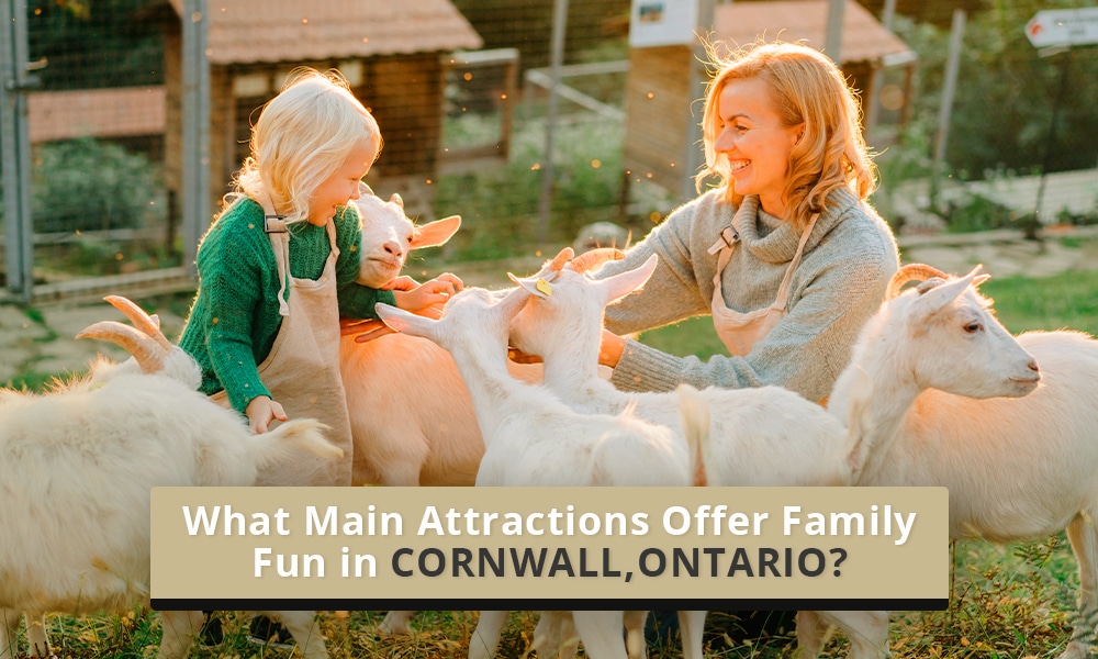 What main attractions offer family fun in Cornwall
